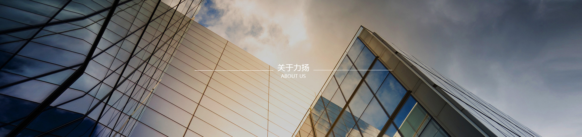 關(guān)于力揚