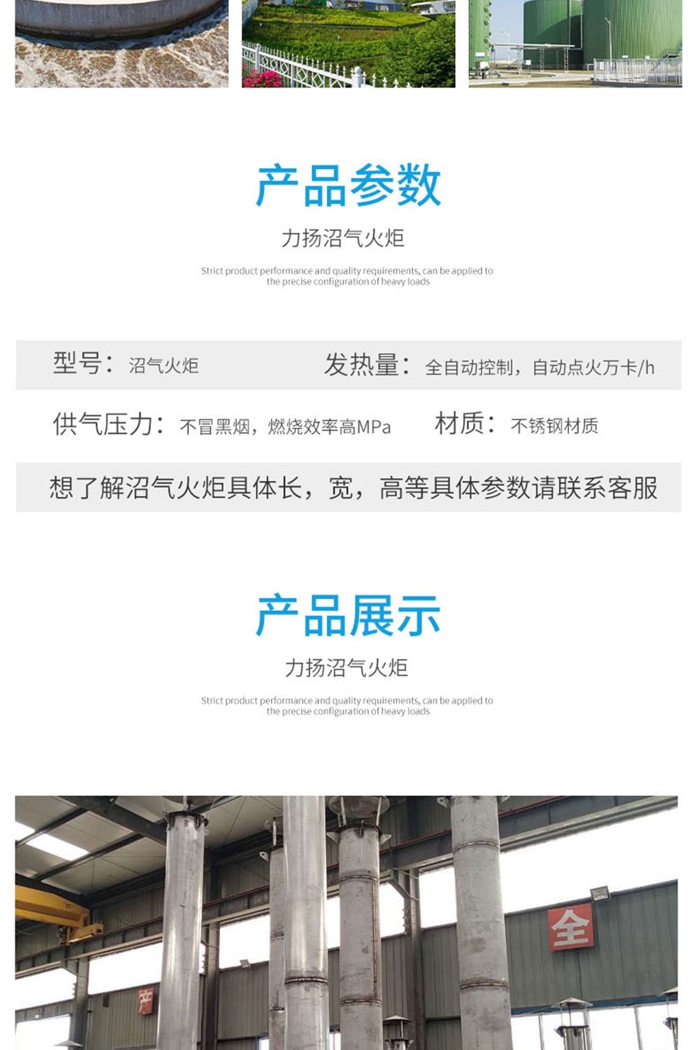 沼氣火炬_06.jpg